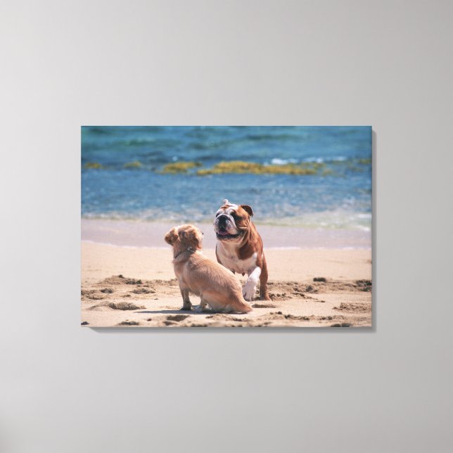 Dog of Sandy Beach Canvas Print (Front)