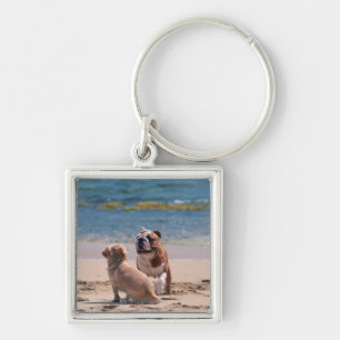 Dog of Sandy Beach Keychain