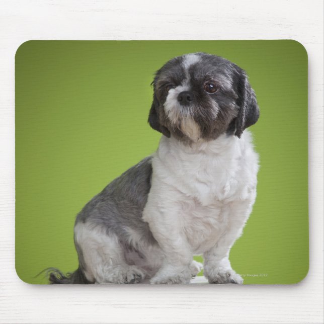 Dog on a column mouse pad (Front)