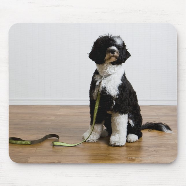 dog on a leash mouse pad (Front)