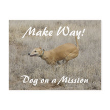 Dog on a Mission