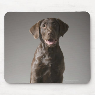 dog on a pedestal mouse pad