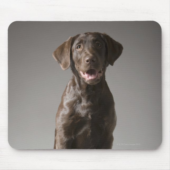 dog on a pedestal mouse pad (Front)