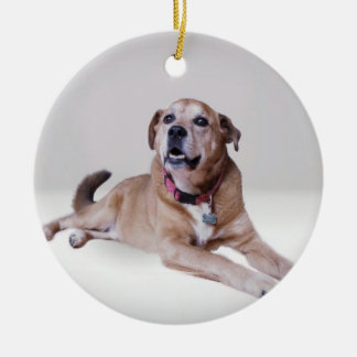 Dog on an ornament