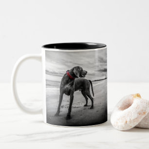 Dog on Beach Black & White Photo w/Red Collar Two-Tone Coffee Mug