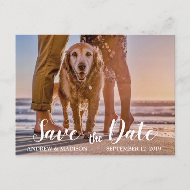 Dog on Beach with Couple Save the Date Announcement Postcard (Front)