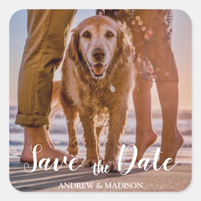 Dog on Beach with Couple Save the Date Square Sticker (Front)