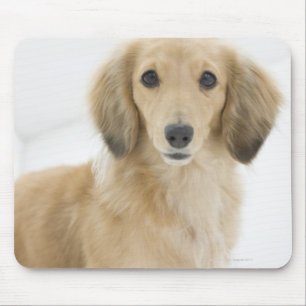 Dog on couch mouse pad