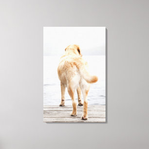 Dog on dock canvas print