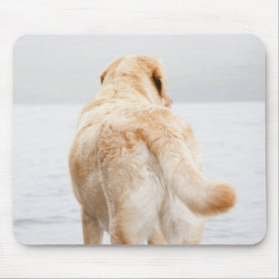 Dog on dock mouse pad