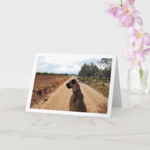 Dog on Dusty Road Card
