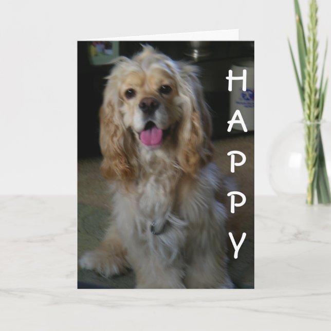 "DOG-ON GOOD BIRTHDAY" says COCKER SPANIEL Card (Front)