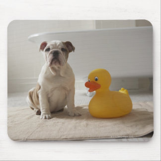 Dog on mat with plastic duck mouse pad