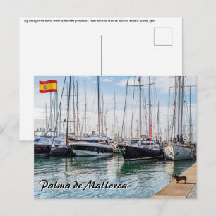 Dog on Paseo maritimo - Palma de Mallorca Postcard