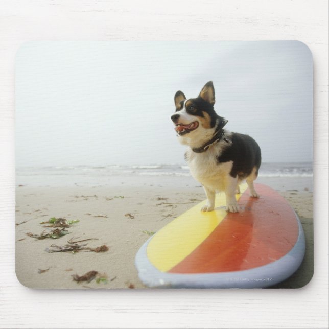 Dog on surfboard mouse pad (Front)