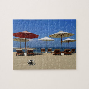 Dog on the beach jigsaw puzzle