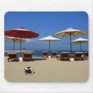 Dog on the beach mouse pad