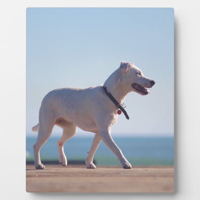 Dog on the beach plaque (Front)
