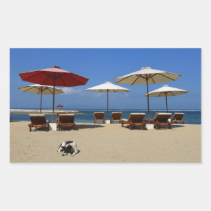 Dog on the beach sticker
