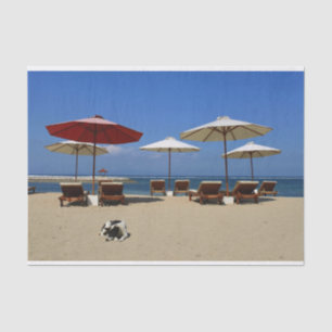 Dog on the beach tissue paper