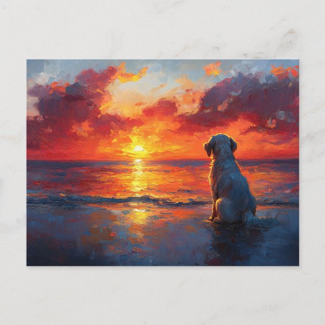 Dog on the Beach Watching the Sunset Postcard (Front)