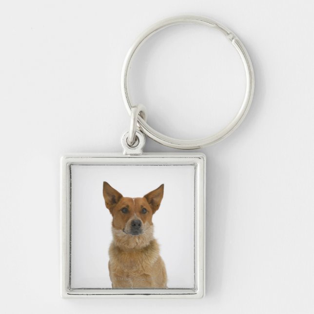 Dog on White 01 Keychain (Front)