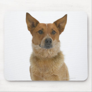 Dog on White 01 Mouse Pad