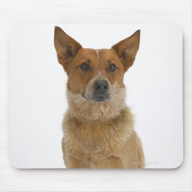 Dog on White 01 Mouse Pad (Front)