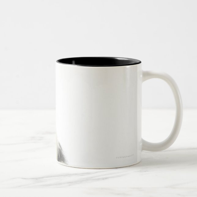 Dog on White 104 Two-Tone Coffee Mug (Right)