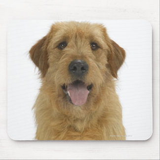 Dog on White 44 Mouse Pad