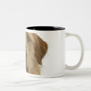Dog on White 44 Two-Tone Coffee Mug