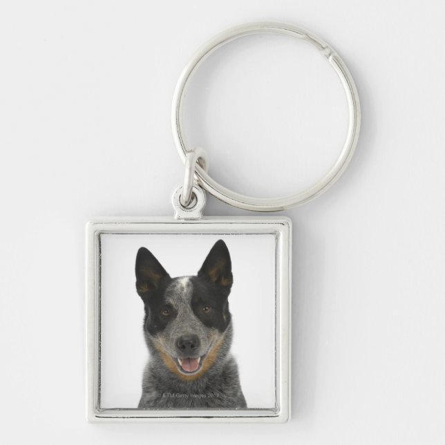 Dog on White 5 Keychain (Front)