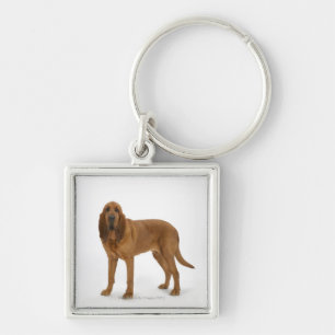 Dog on White 97 Keychain