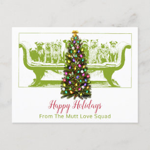 Dog Pack Lined Up On Sofa Dog Walker Holiday Card