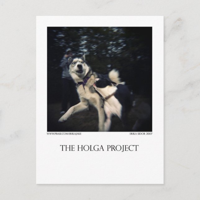 Dog Park Postcard 13 (Front)