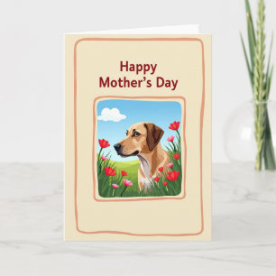Dog Pasture Mothers Day Card