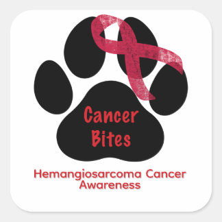 Dog Paw Canine Hemangiosarcoma Awareness Button Square Sticker