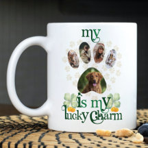 Dog Paw Photos St Patrick's Day Personalized