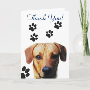 Dog Paw Print Thank you Card