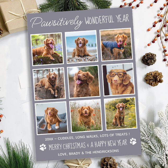 Dog Pawsitively Wonderful Cute Pet Photo Collage Holiday Card (Creator Uploaded)