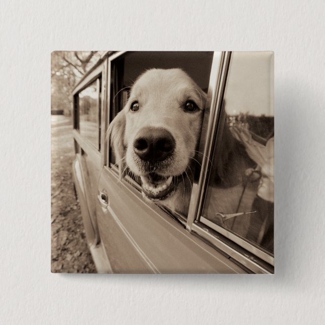 Dog Peeking Out a Car Window 2 Inch Square Button (Front)