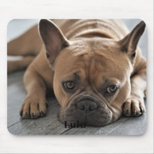 Dog Personalized Photo Mouse Pad