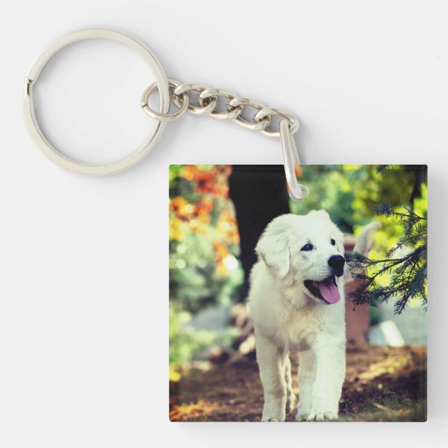 Dog, Pet, Canine Keychain (Front)