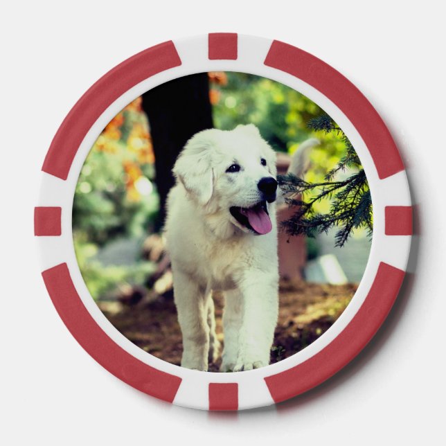 Dog, Pet, Canine Poker Chips (Front)