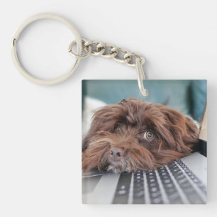 Dog, Pet, Containment Keychain