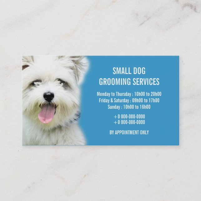 Dog pet grooming parlour | Personalize Business Card (Front)