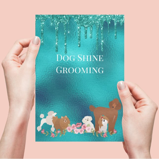 Dog Pet Grooming Sitting Business Glitter Flyer (Creator Uploaded)