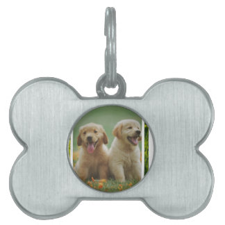 dog pet ID tag