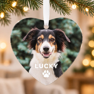 Dog Pet Paw Print Personalized Photo Ornament