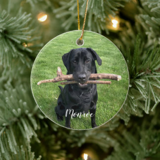 Dog Pet Personalized Name and Photo Holiday Ceramic Ornament